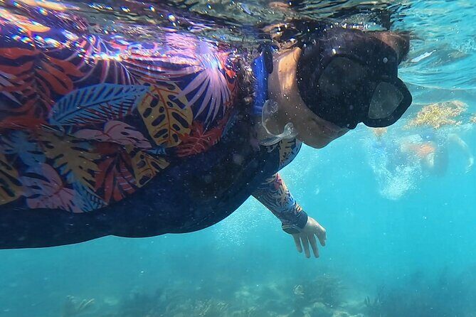 1.5 hours Snorkeling at Tulum's paradise reef - Wildlife on Tulum’s reef: turtles, stingrays, and manta-ray chances