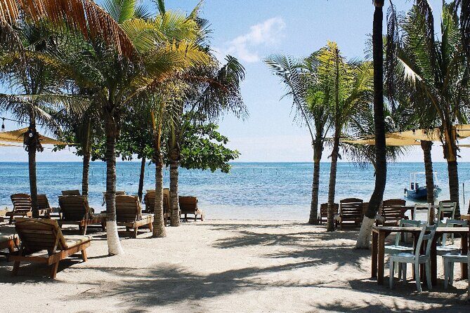 1 Day Costa Maya Premium Beach Break Experience - Port pickup and WhatsApp-style communication: the difference between stress and smooth