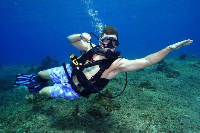 1 Tank Guided Shore Dive Including Equipment - Key Highlights From This Cozumel Tank Session