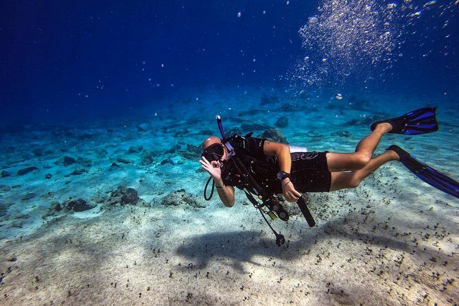 1 Tank Guided Shore Dive Including Equipment - Why a One-Tank Shore Session Beats a Full Day at Sea