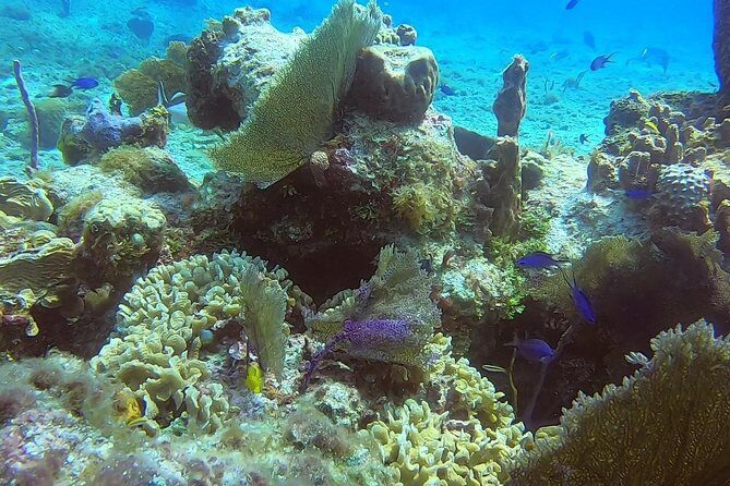 1 Tank Guided Shore Dive Including Equipment - Equipment Included: What You’re Actually Paying For