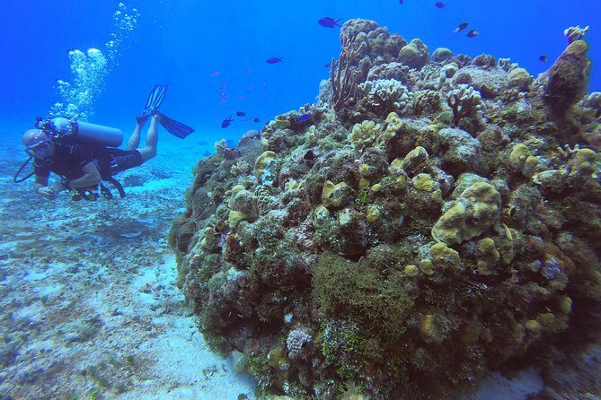 1 Tank Guided Shore Dive Including Equipment - Getting Ready at the Shop and Staying on Schedule