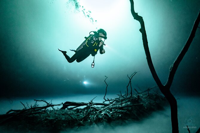 2 cenote divings (including one deep diving) for advanced divers in Tulum - Why the Pit and Dos Ojos pair so well in one morning