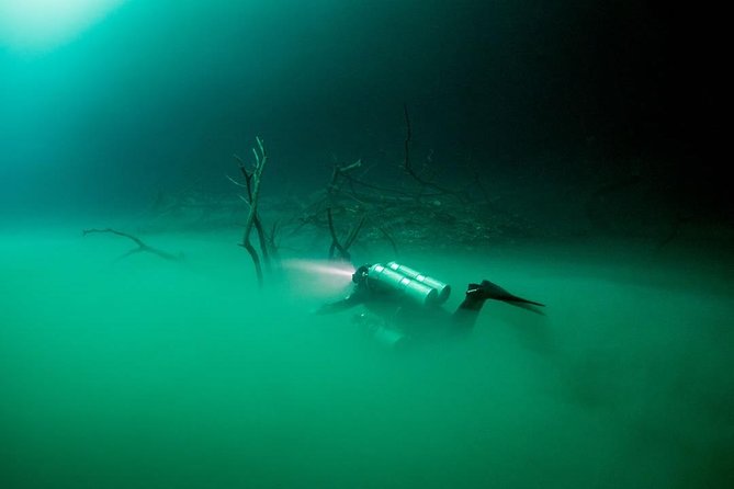 2 cenote divings (including one deep diving) for advanced divers in Tulum - Dos Ojos at Parque Dos Ojos: limestone worlds and the bat cave vibe