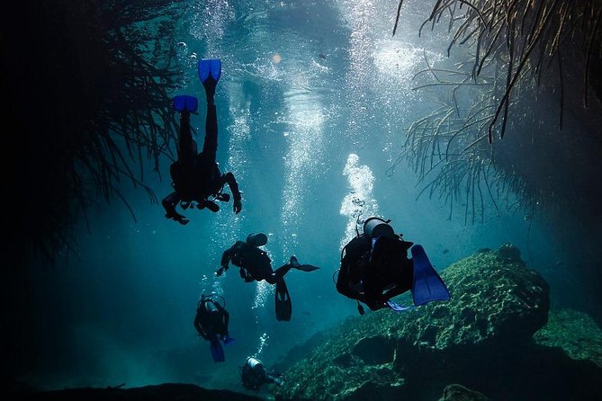 2 cenote divings (including one deep diving) for advanced divers in Tulum - Your guide: calm control and clear briefing (Martino and Alex)
