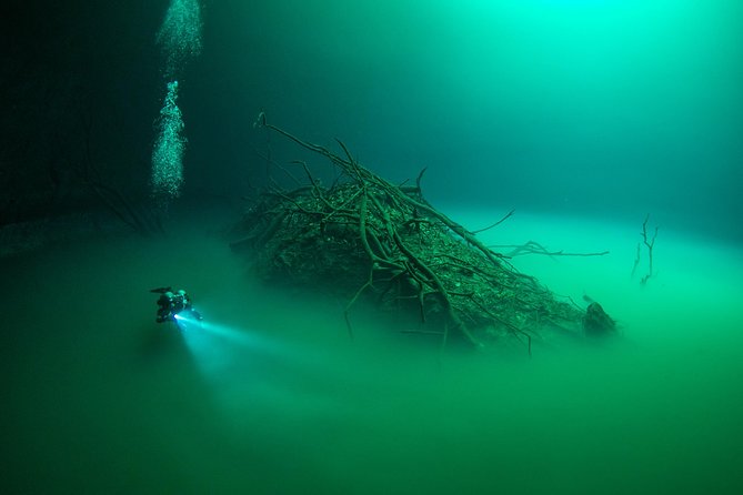 2 cenote divings (including one deep diving) for advanced divers in Tulum - Who should book, and who should skip this Pit + Dos Ojos route