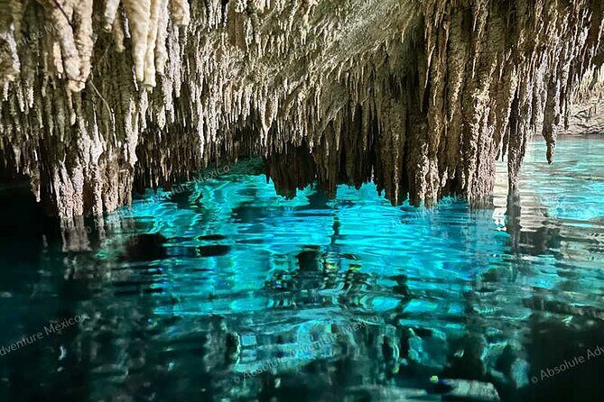 2 Cenotes Private Tour – VIP Adventure with Expert Guide - A VIP cenote day that actually feels private