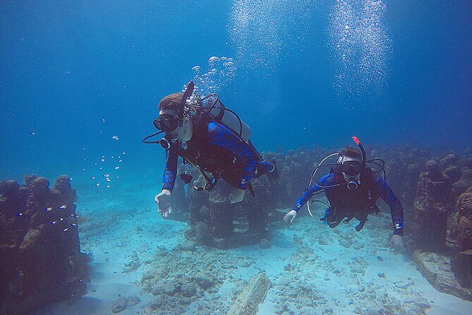 2 Days Class: SDI Open Water Diver Certification in Cancun - SDI Open Water Diver certification in Cancun: what makes this program work