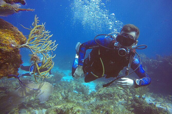 2 Days Class: SDI Open Water Diver Certification in Cancun - Day 2 training and certification day: more practice, two more ocean sessions