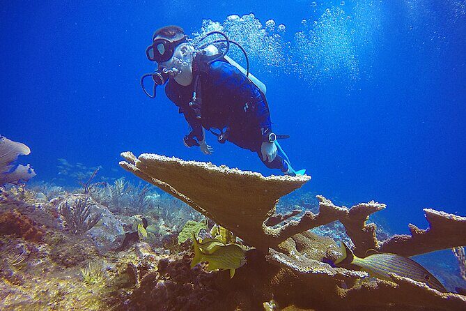 2 Days Class: SDI Open Water Diver Certification in Cancun - Price in Cancun: whether $600 makes sense for SDI Open Water