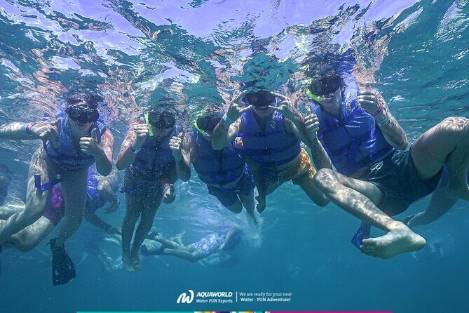 2-Hour Snorkeling Paradise Reef in Cancún Underwater Museum - Key highlights that matter (not just pretty words)
