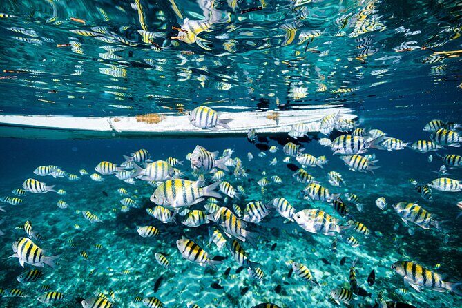 2 in 1 Parasail Cancun and Jet ski - Safety and Comfort: What You Can Control Before You Arrive