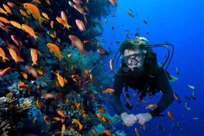 2 Tank Dive in Cozumel - Check-In at Aqua Excursions: What Starts Your Day