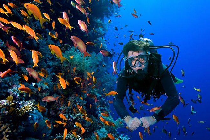 2 Tank Dive in Cozumel - Check-In at Aqua Excursions: What Starts Your Day