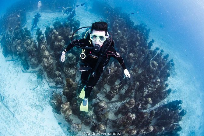 2 Tank Dives MUSA and Manchones reef (Certified divers) - Two tank sessions, one 4-hour morning plan