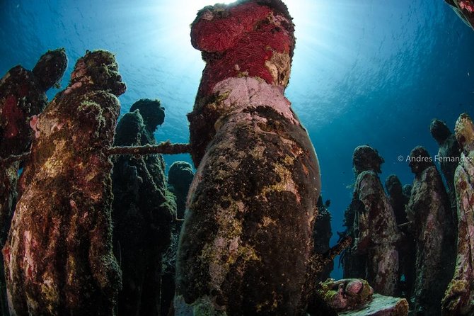 2 Tank Dives MUSA and Manchones reef (Certified divers) - Small-group care: guidance, pacing, and smart adjustments