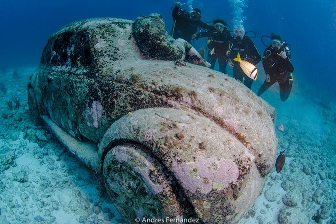 2 Tank Dives MUSA and Manchones reef (Certified divers) - Who this tour fits best (and who should think twice)
