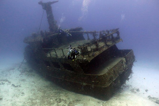 2-Tank Morning or Afternoon Dives in Playa del Carmen certified Divers Only - Gear, weights, and comfort: renting can be the smart move