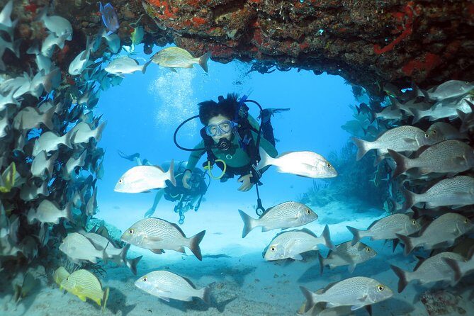 2-Tank Morning or Afternoon Dives in Playa del Carmen certified Divers Only - Who should book this 2-tank trip (and who should think twice)
