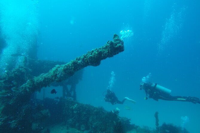 2 Tank Reef Dive in Mexico - How the 2-tank Puerto Morelos reef plan actually feels