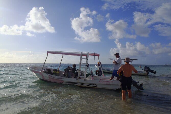 2 Tank Reef Dive in Mexico - Puerto Morelos Reef National Park: two sites, backroll entries, and real reef variety