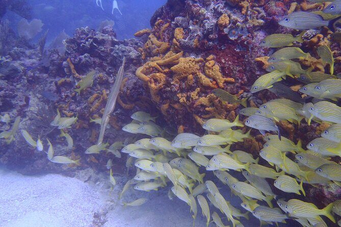 2 Tank Reef Dive in Mexico - Between the two sessions: snack, water, and gear changes on the boat