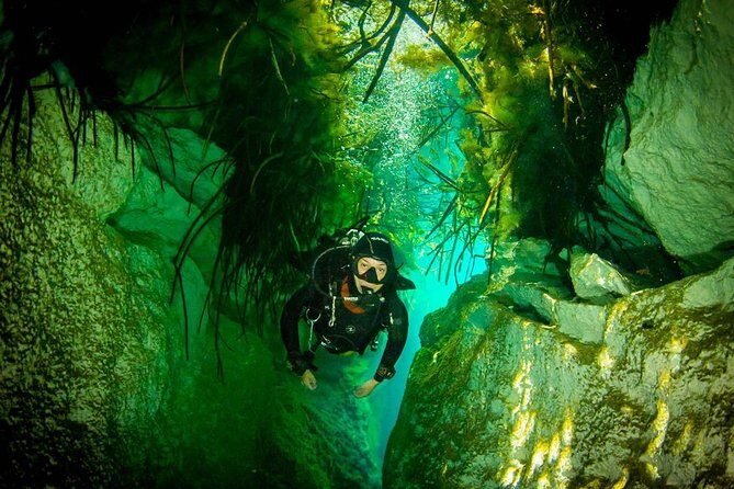 2 tanks Cenote Diving Adventure in Tulum for Certified Divers - Dos Ojos Cenote: cavern time, bat cave vibes, and shifting light