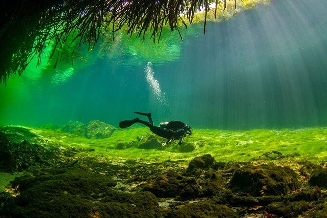 2 tanks Cenote Diving Adventure in Tulum for Certified Divers - Instructor attention and the small-group feel (Martino, Alex, and Bebe)