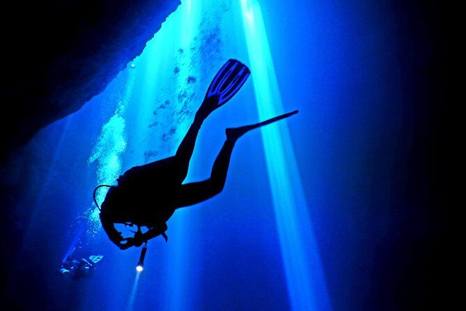 2 tanks Cenote Diving Adventure in Tulum for Certified Divers - Price and value: what $200 really covers