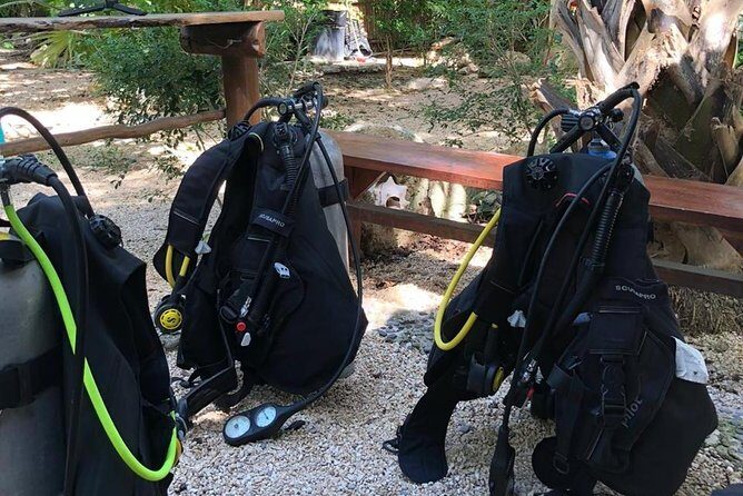 2 tanks Cenote Diving Adventure in Tulum for Certified Divers - What to plan for: certification, health, and flight timing
