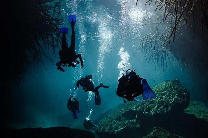 2 tanks Cenote Diving Adventure in Tulum for Certified Divers - Who should book this cenote scuba plan in Tulum