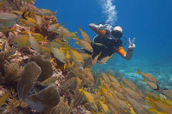 2 Tanks Dives Cancun Underwater Museum for Certified Divers - Comfort and safety: what the crew is clearly good at