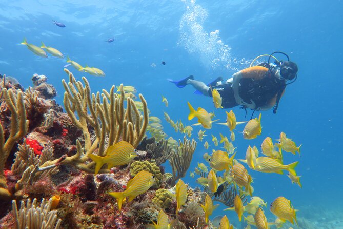 2 Tanks Dives Cancun Underwater Museum for Certified Divers - Packing list: simple items that keep the day easy