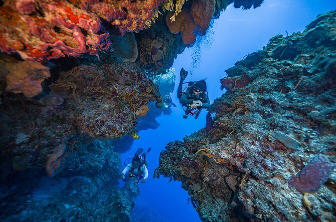 2 Tanks dives for Certified Divers in Cozumel - Best Fit: Who Should Book This Two-Tank Cozumel Plan