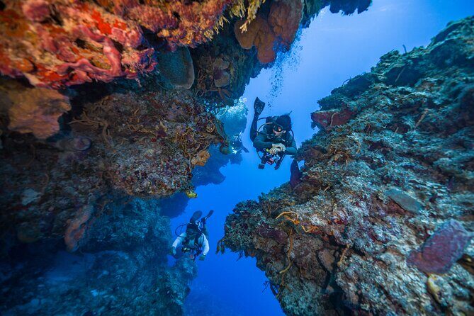 2 Tanks dives for Certified Divers in Cozumel - Should You Book This 2-Tank Session in Cozumel?