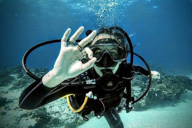 2 tanks for certified divers - Cozumel National Park: Two Reef Sessions in One Morning