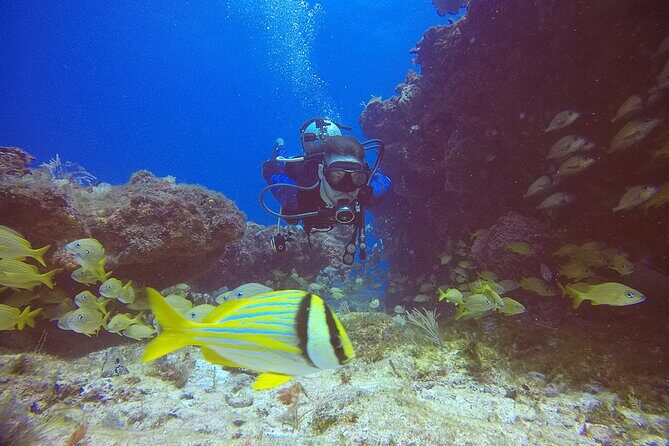 2 Tanks Scuba Diving in Punta Cancun Reefs for Certified Divers - Getting Started at Hotel Sotavento Cancun