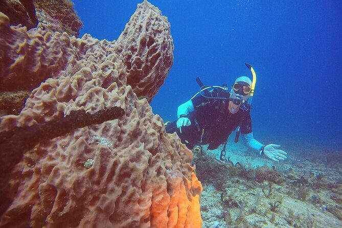 2 Tanks Scuba Diving in Punta Cancun Reefs for Certified Divers - Photo and Video Upgrade, Coral Rules, and Comfort That Adds Up