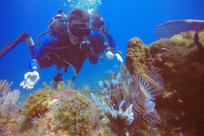 2 Tanks Scuba Diving in Punta Cancun Reefs for Certified Divers - Medical Rules and Timing That Affect Your Real Plan