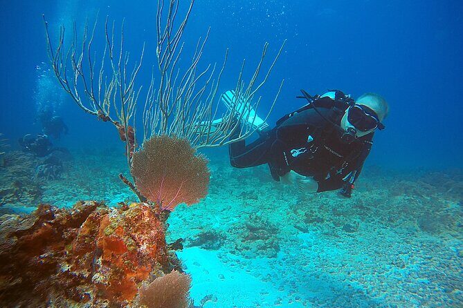 2 Tanks Scuba Diving Wreck and Reef in Cancun for Certified Divers - The second tank on a Cancun reef for variety