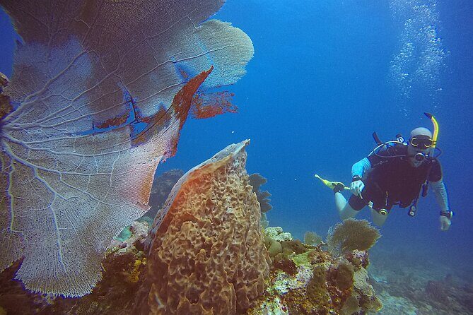 2 Tanks Scuba Diving Wreck and Reef in Cancun for Certified Divers - Health rules and safety boundaries you should know early
