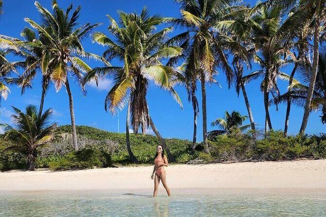 2x1 Tour: Isla Contoy, Isla Mujeres, Open Bar, Lunch and Transfers - Back to Isla Contoy: Bird Country, Relax Time, and Caribbean-Style Unwinding