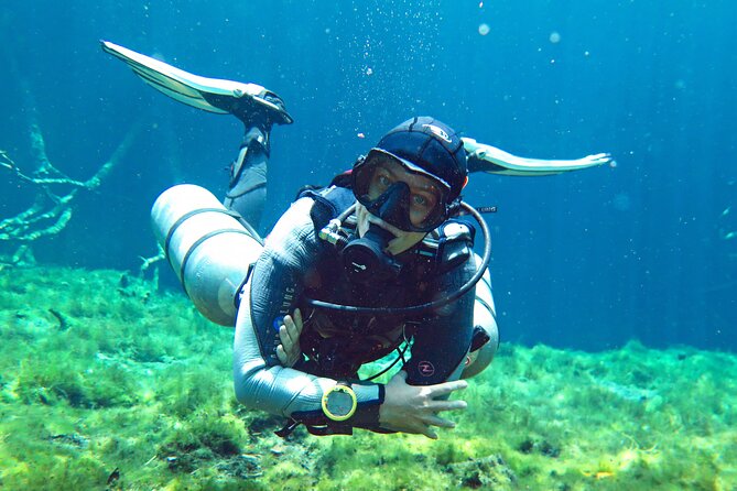 3 days diving in cenotes for certified divers - Cenotes like El Pit, Dos Ojos, and Angelita: how to think about the picks