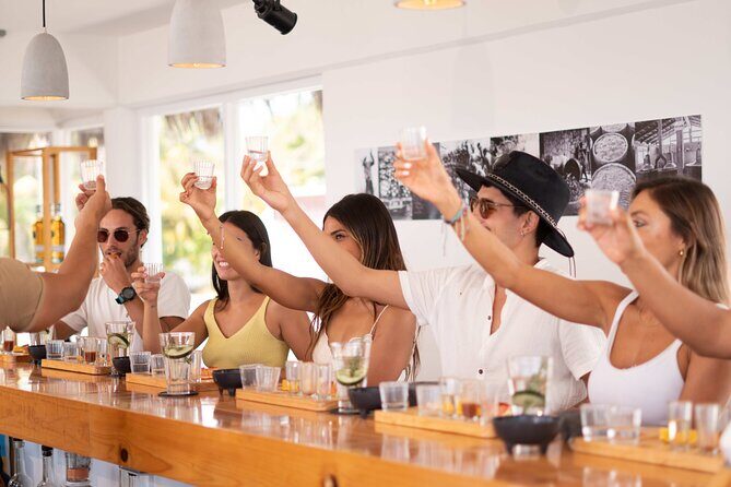 3-Hour Small-Group Mezcal and Tequila Tasting activity from Cozumel - Lunch, snacks, and the Mexican party vibe
