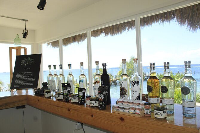 3-Hour Small-Group Mezcal and Tequila Tasting activity from Cozumel - Who this Cozumel mezcal and tequila tasting suits best