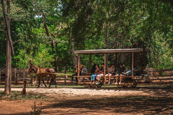 3 Hour Tour in The Sotuta de Peón Live Museum - Should you book the 3-hour Sotuta de Peón live museum tour?