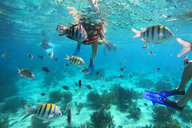 3 Hours VIP Semiprivate Tour Isla Mujeres Full Snorkeling Experience - A Small-Group Morning on Isla Mujeres (Not a Party Boat)