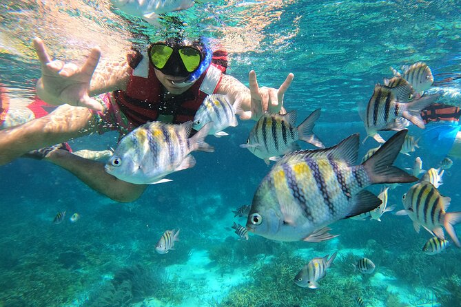 3 Hours VIP Semiprivate Tour Isla Mujeres Full Snorkeling Experience - Price and What You’re Really Paying For