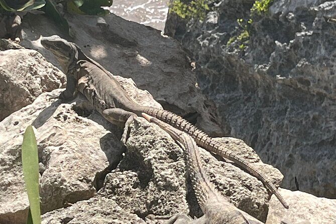 3 in 1 Experience in Tulum - What kind of traveler should book this?