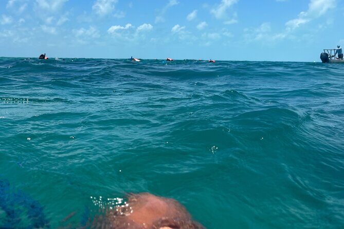3 in 1 Experience in Tulum - Stop 2: Reef snorkeling with expert help and marine sightings